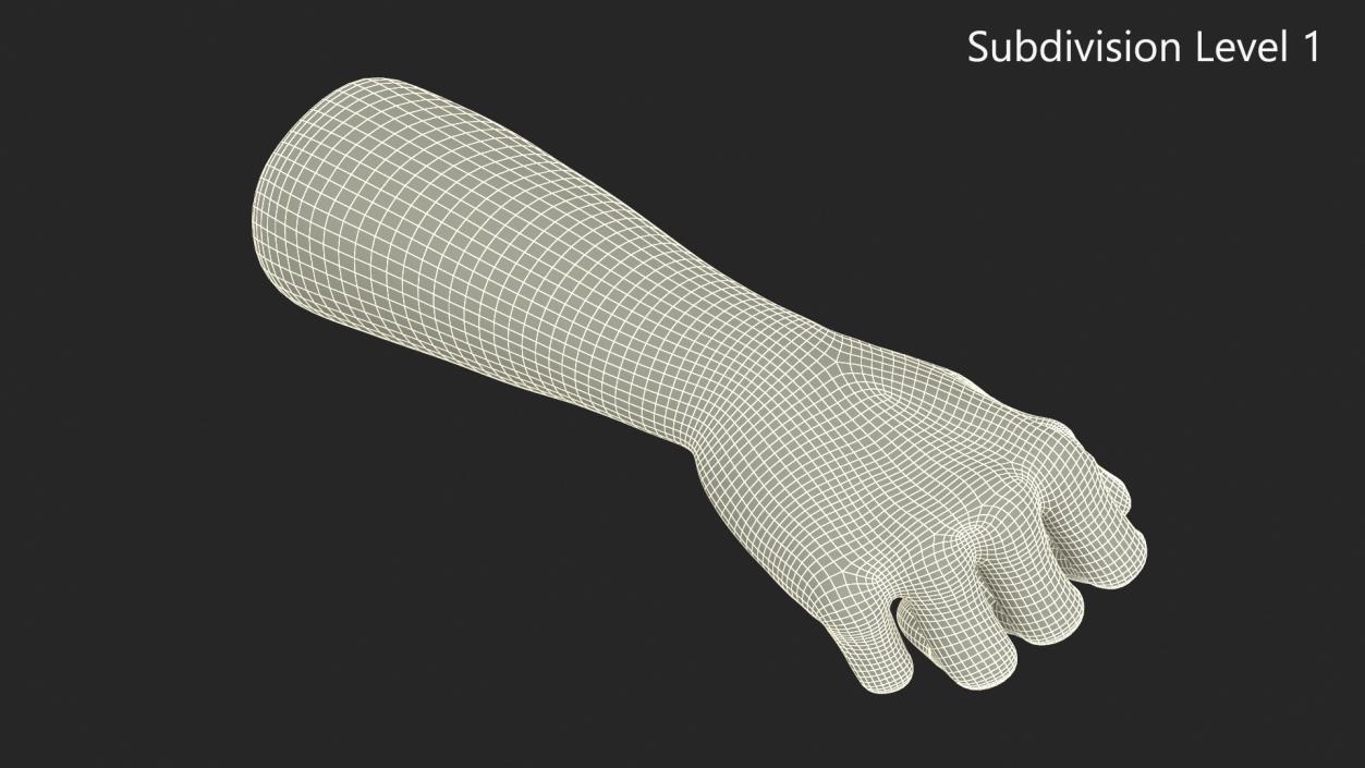 3D Caucasian Man Hand Fist model