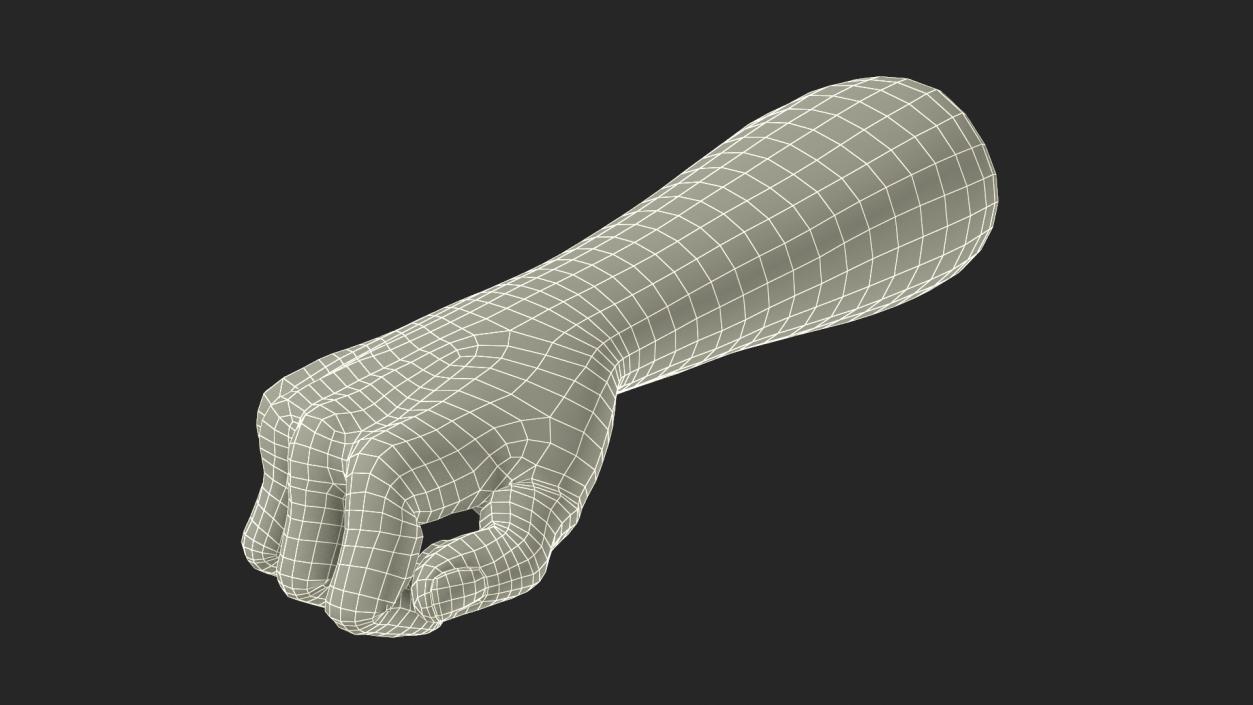 3D Caucasian Man Hand Fist model