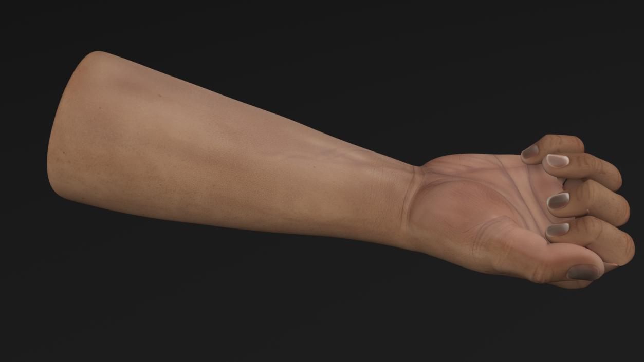 3D Caucasian Man Hand Fist model