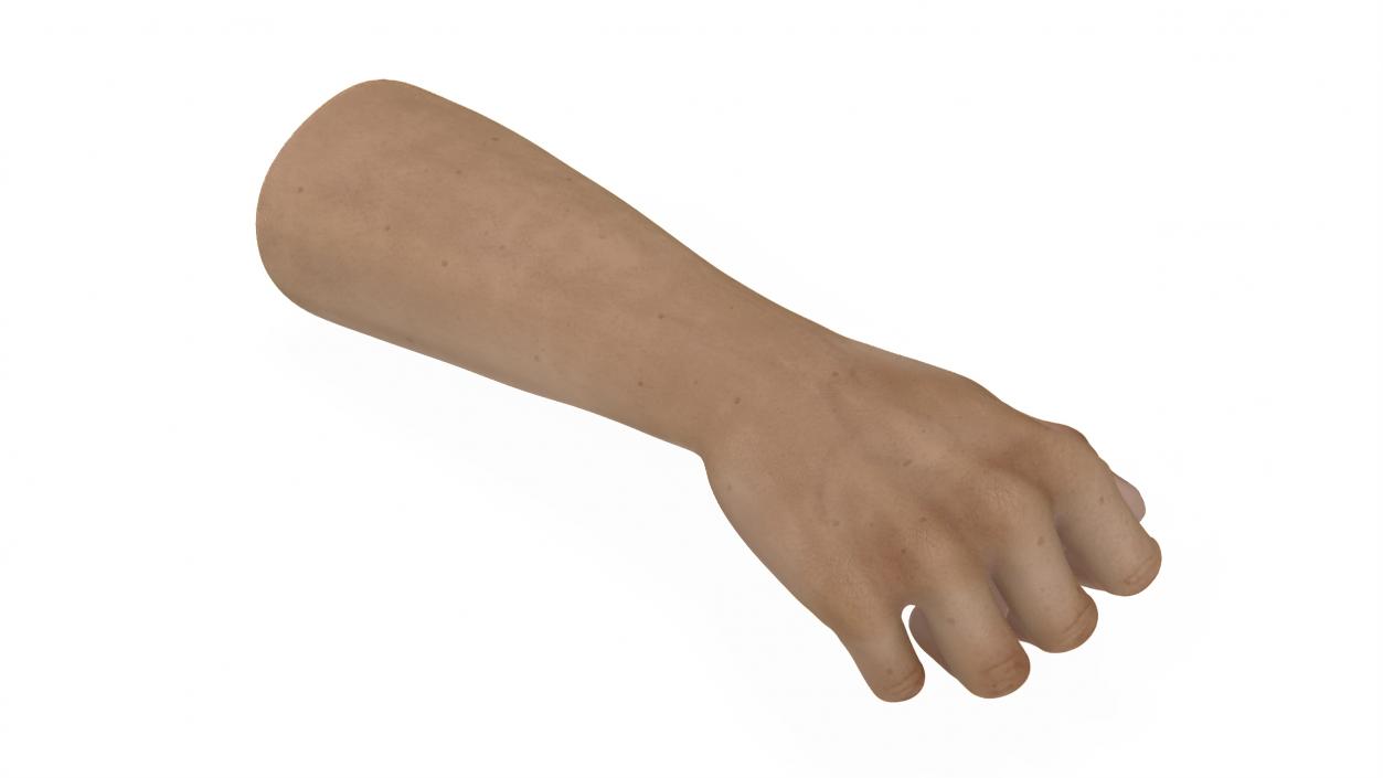 3D Caucasian Man Hand Fist model