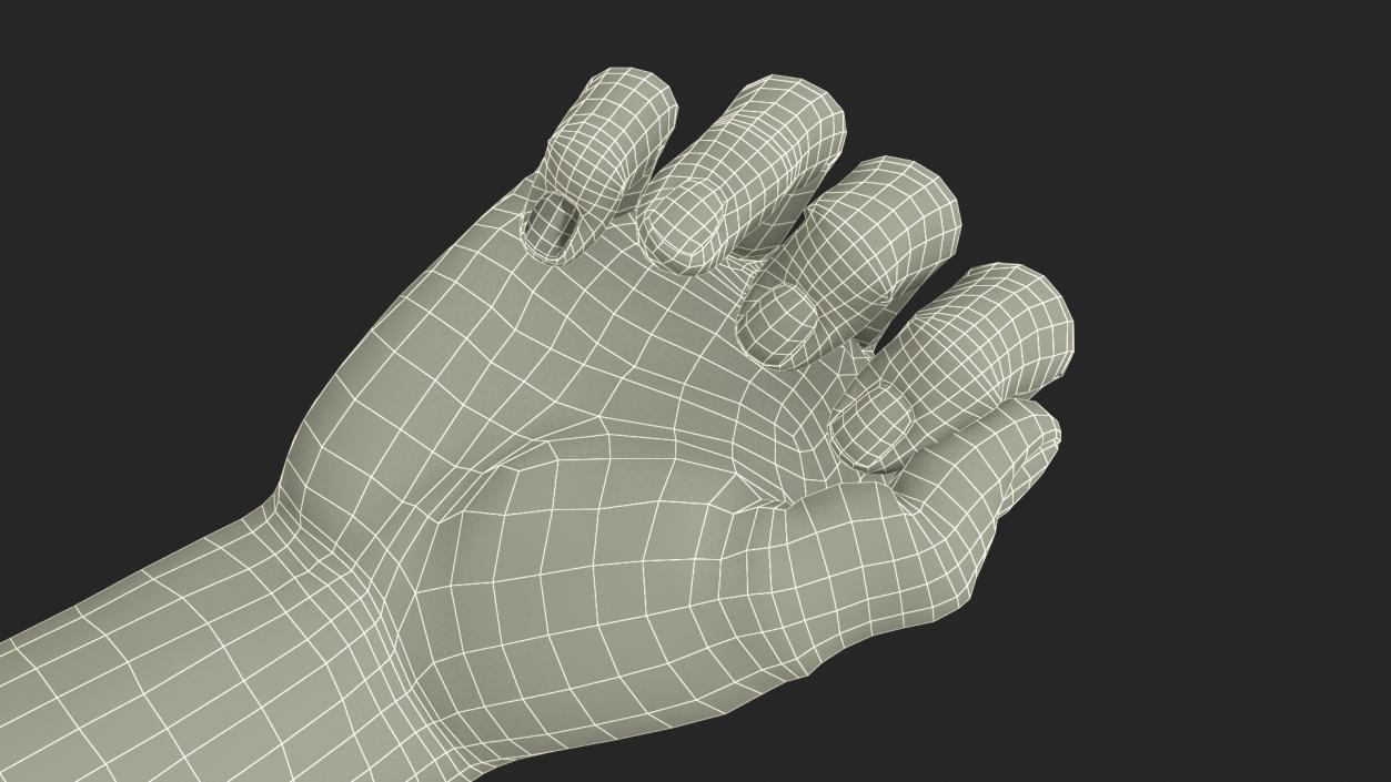 3D Caucasian Man Hand Fist model