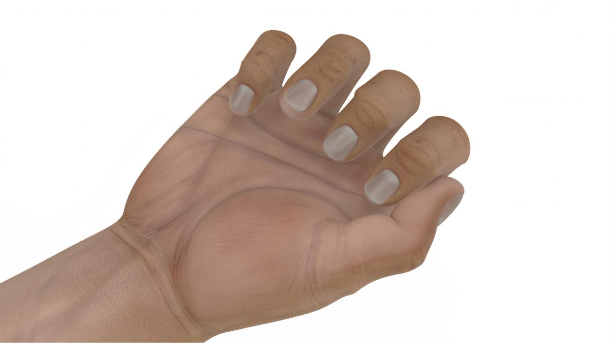 3D Caucasian Man Hand Fist model