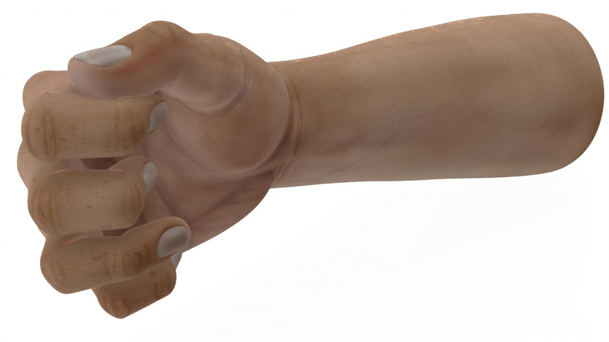 3D Caucasian Man Hand Fist model