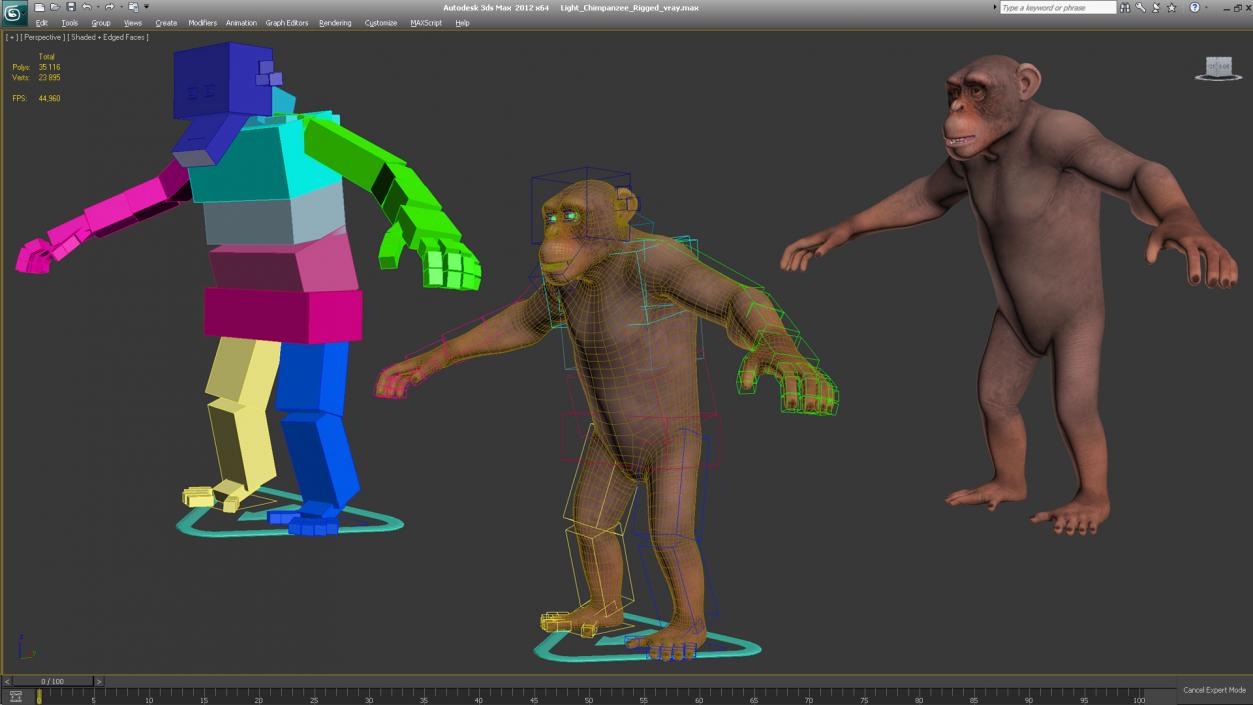 3D Light Chimpanzee Rigged model