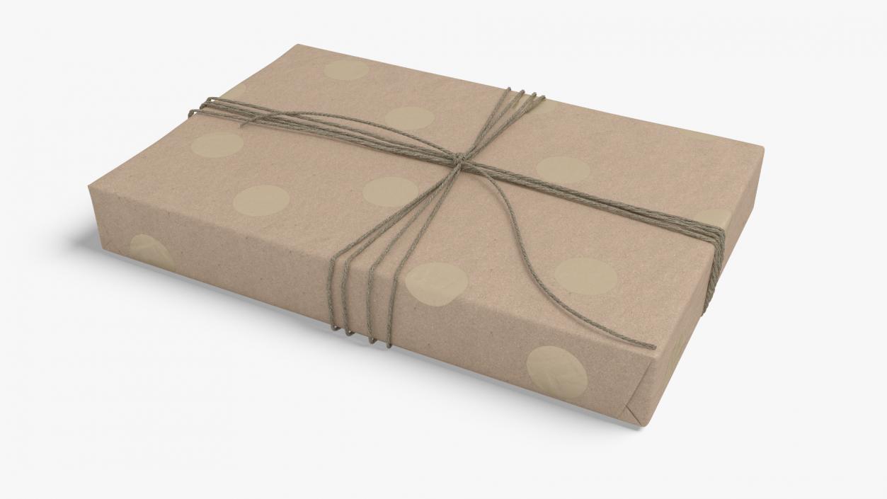 Wrapped Gift Box with String Tie 3D