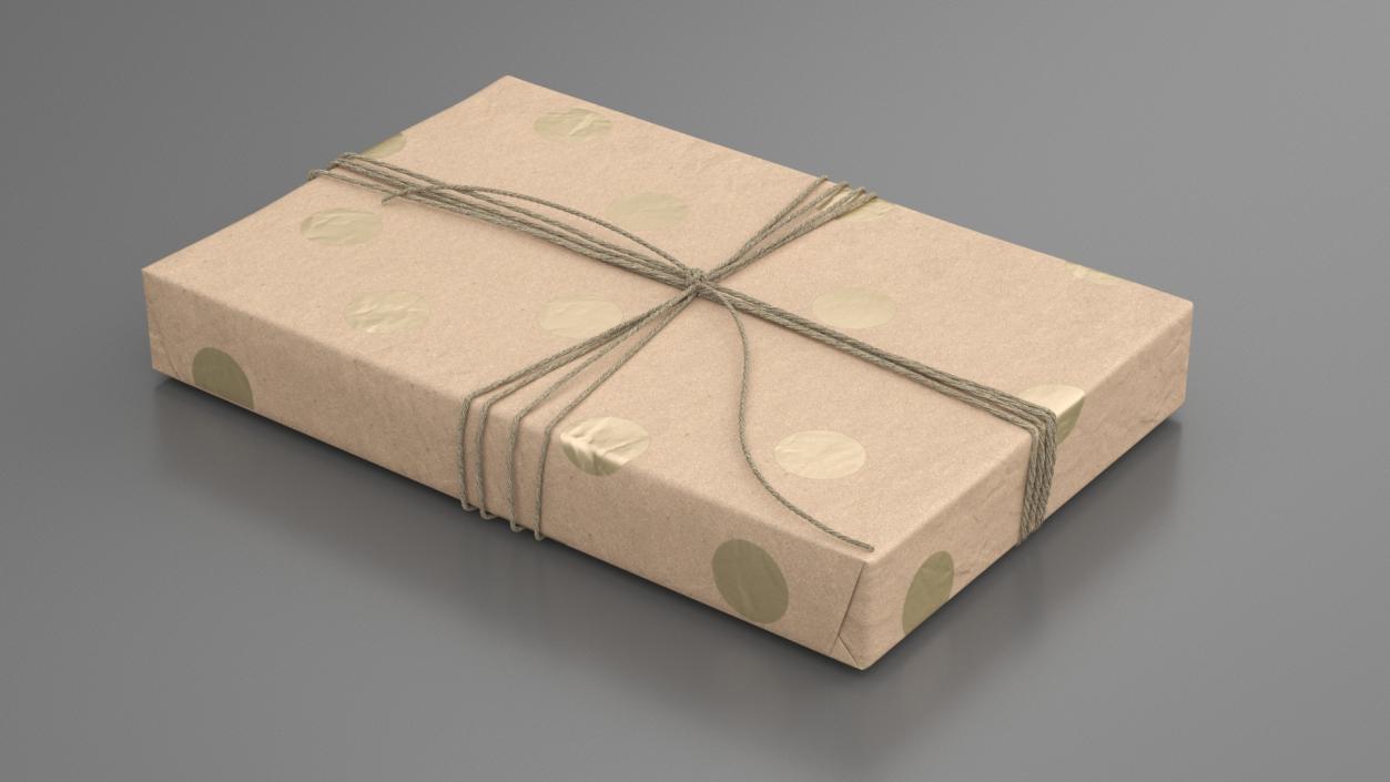 Wrapped Gift Box with String Tie 3D