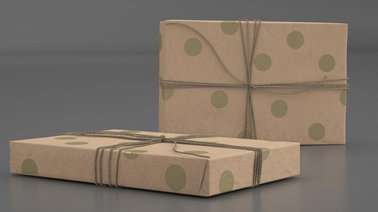 Wrapped Gift Box with String Tie 3D