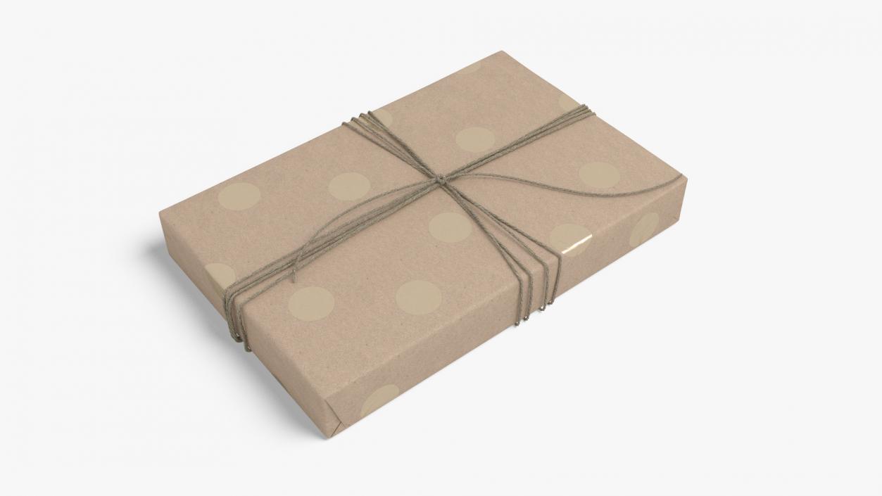 Wrapped Gift Box with String Tie 3D