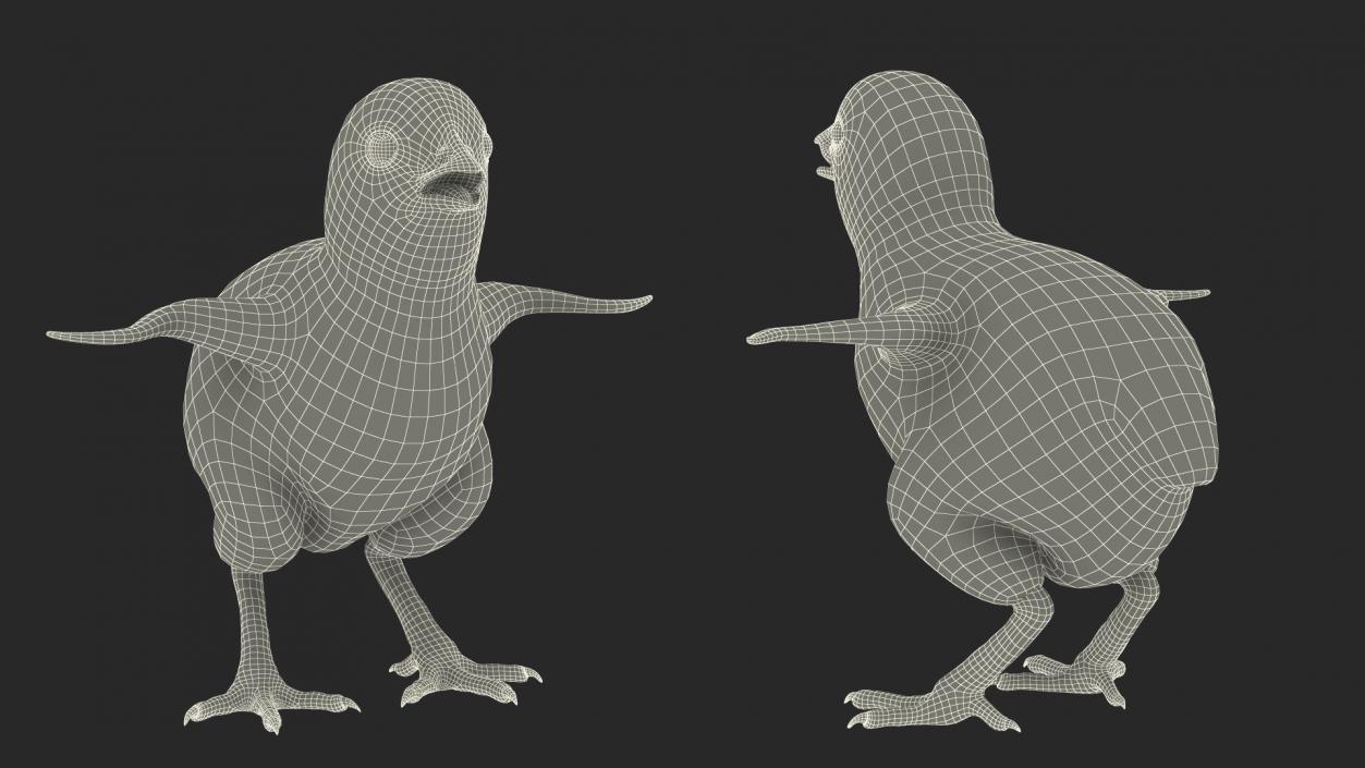 3D model Baby Chick