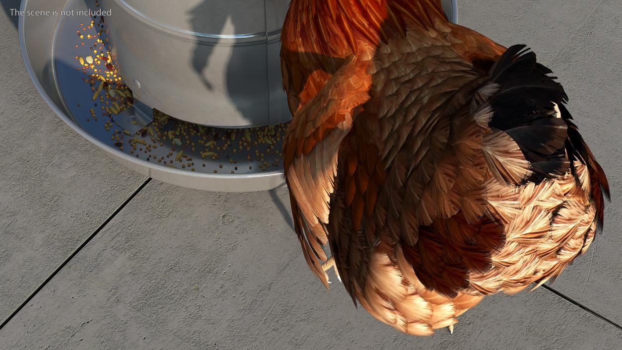 3D Chickens with Wheat Grain Collection