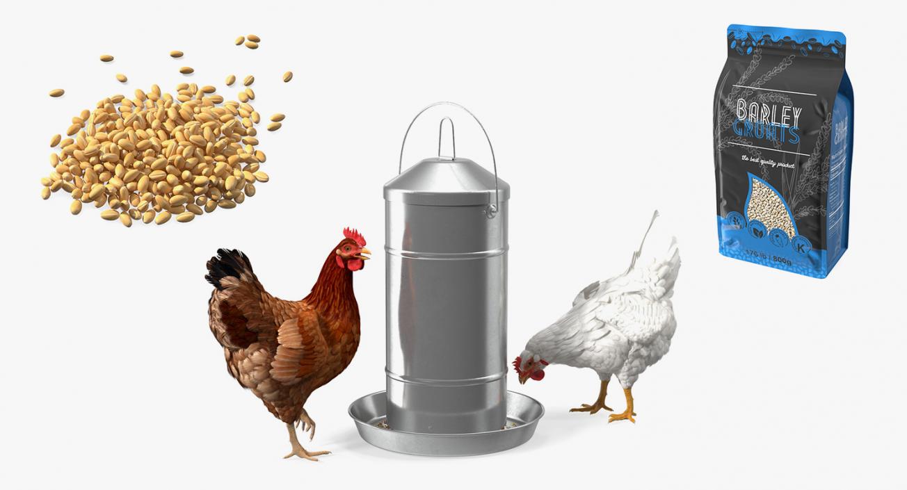 3D Chickens with Wheat Grain Collection