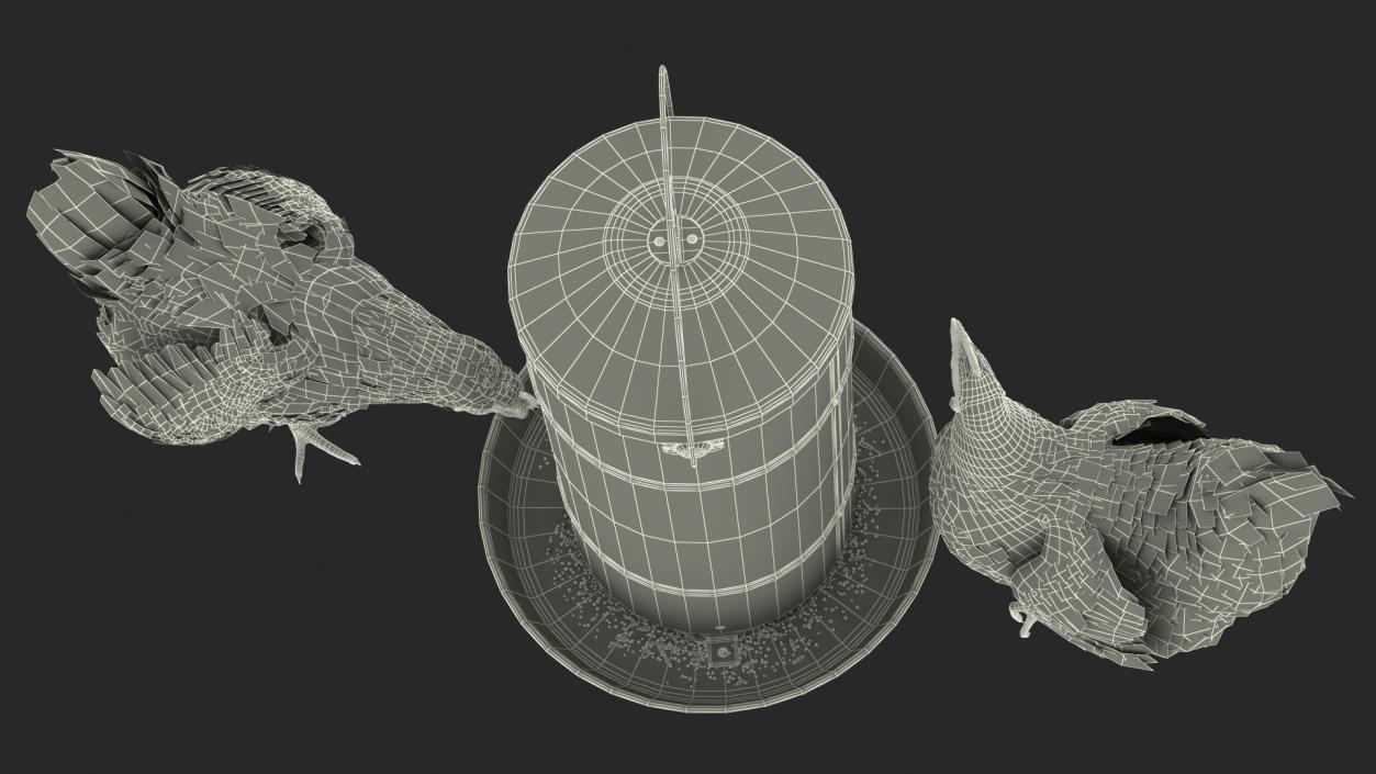 3D Chickens with Wheat Grain Collection