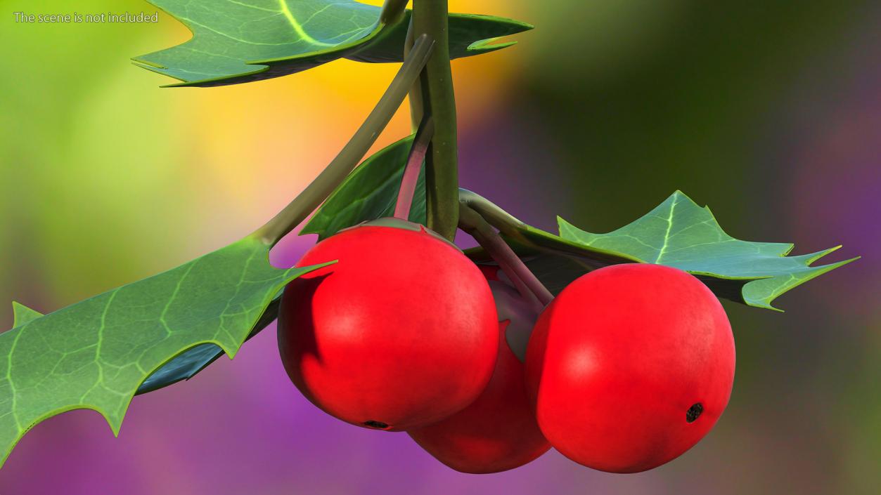 Berry Branches Collection 6 3D