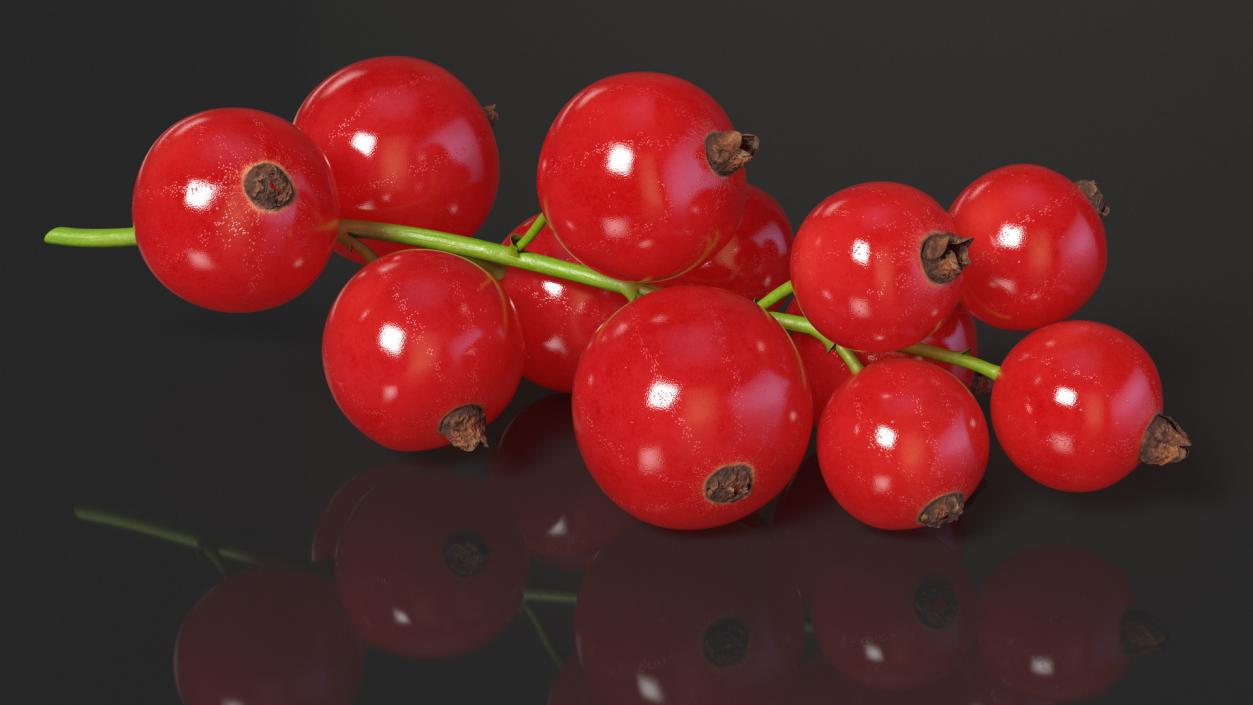 Berry Branches Collection 6 3D