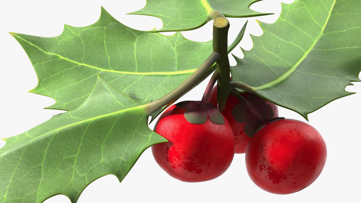 Berry Branches Collection 6 3D