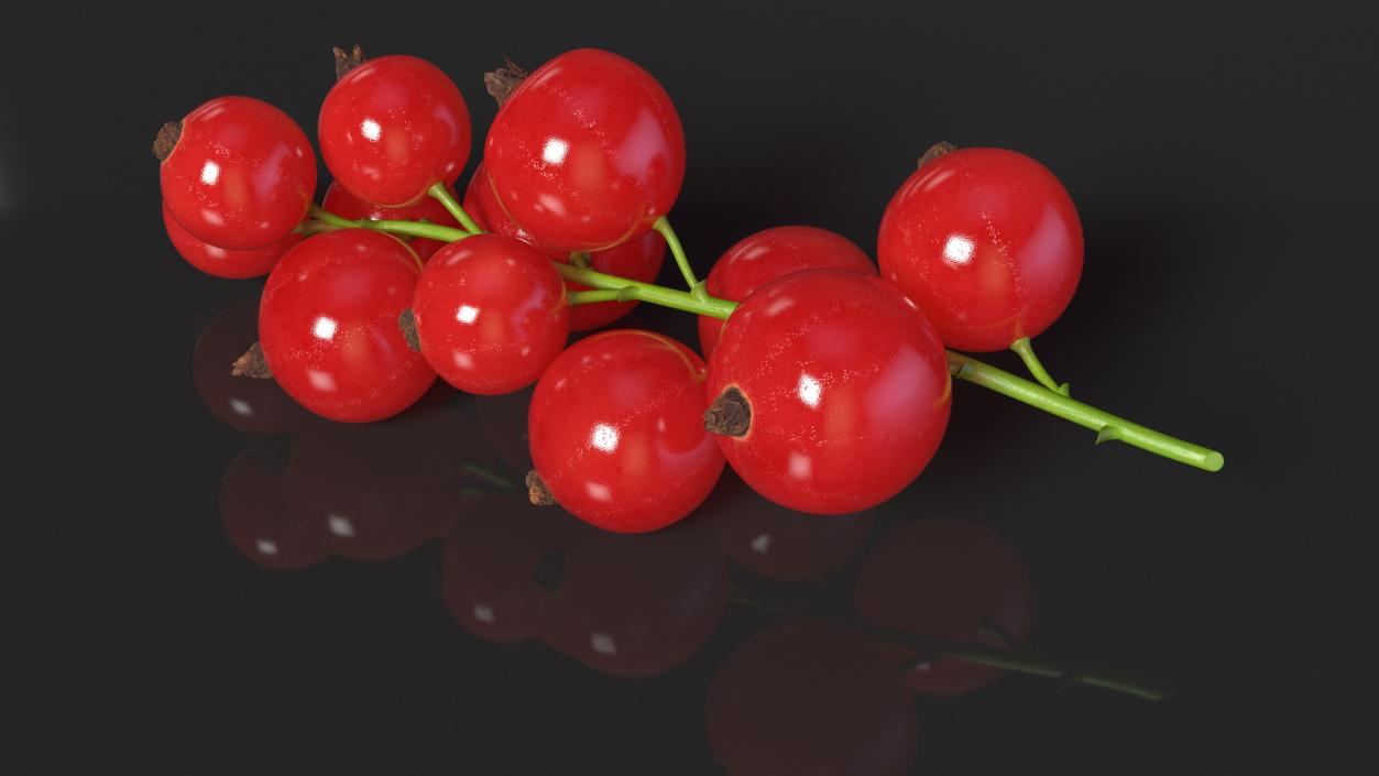 Berry Branches Collection 6 3D