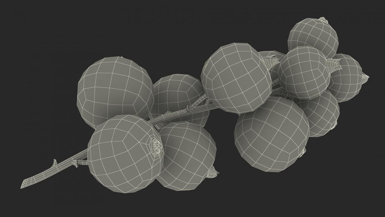 Berry Branches Collection 6 3D