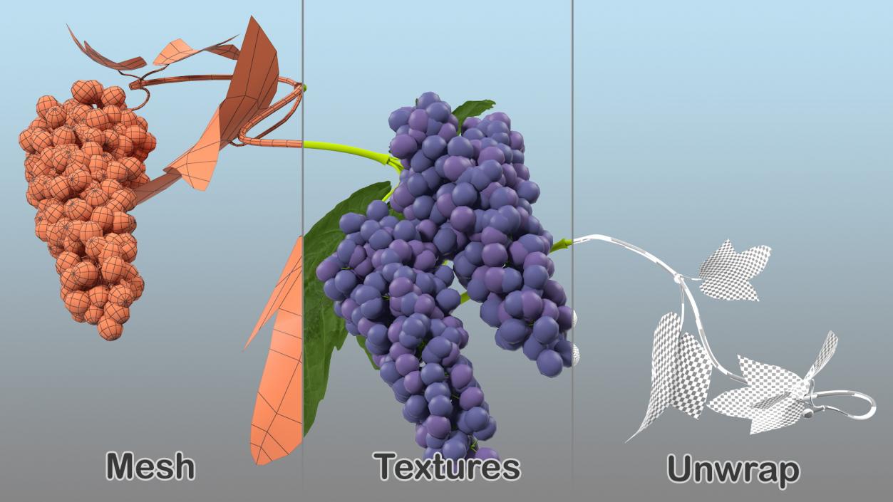 Berry Branches Collection 6 3D