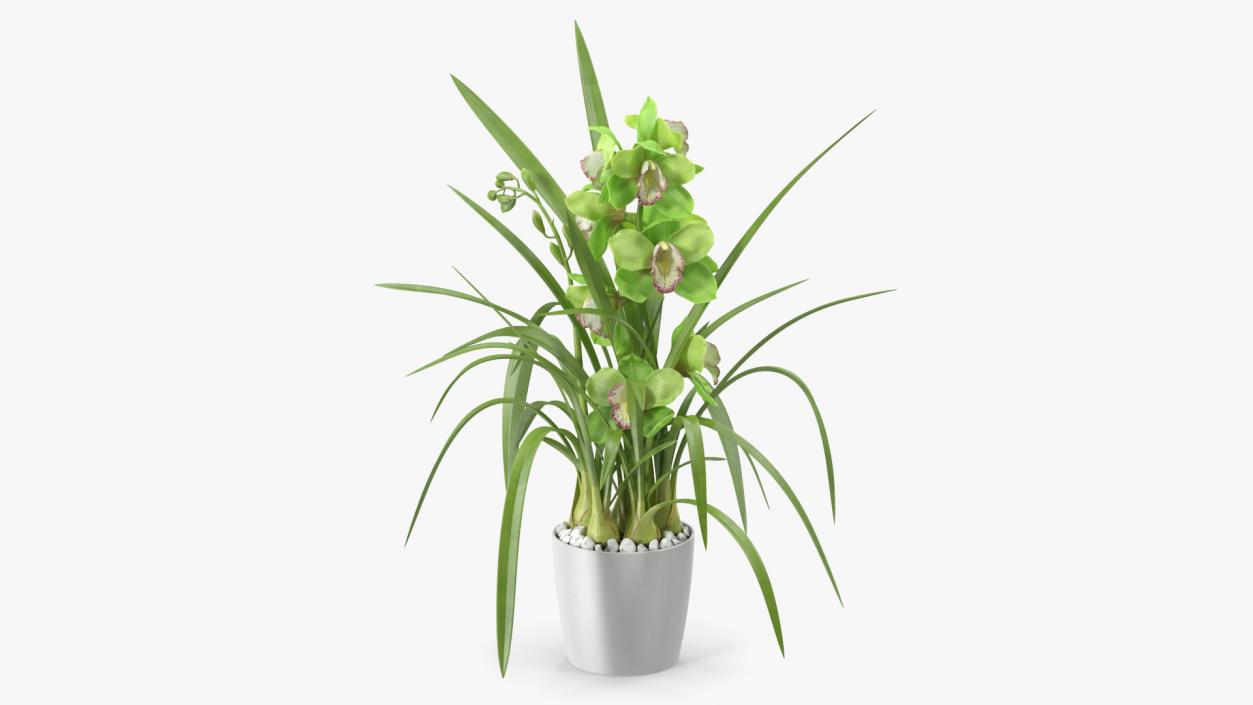 3D Orchid Pot Green