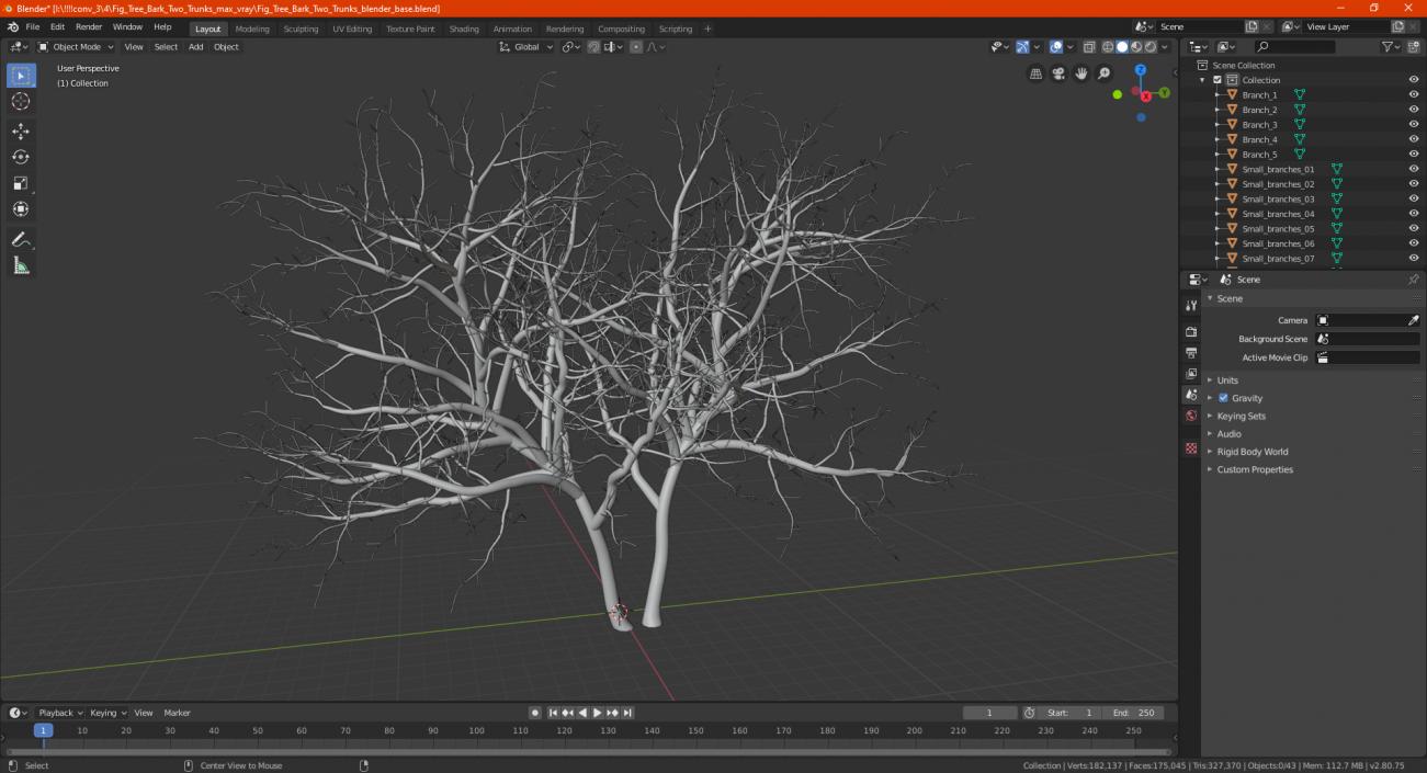 Fig Tree Bark Two Trunks 3D model