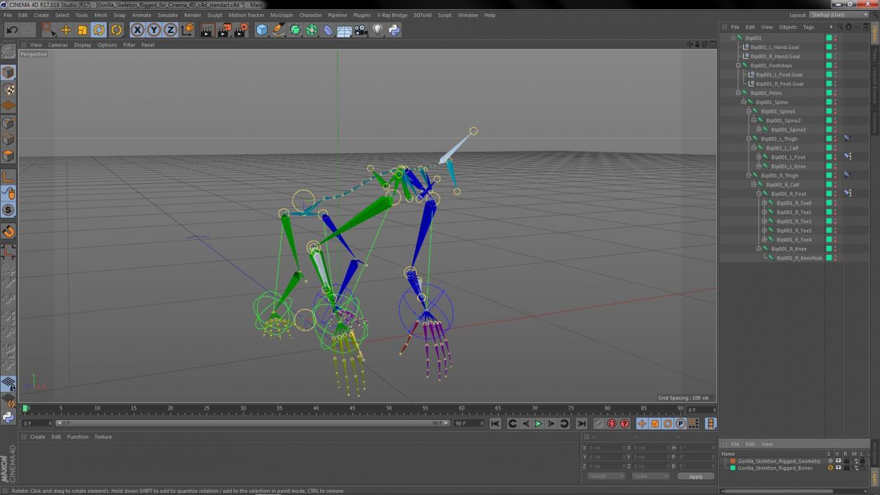 Gorilla Skeleton Rigged for Cinema 4D 3D