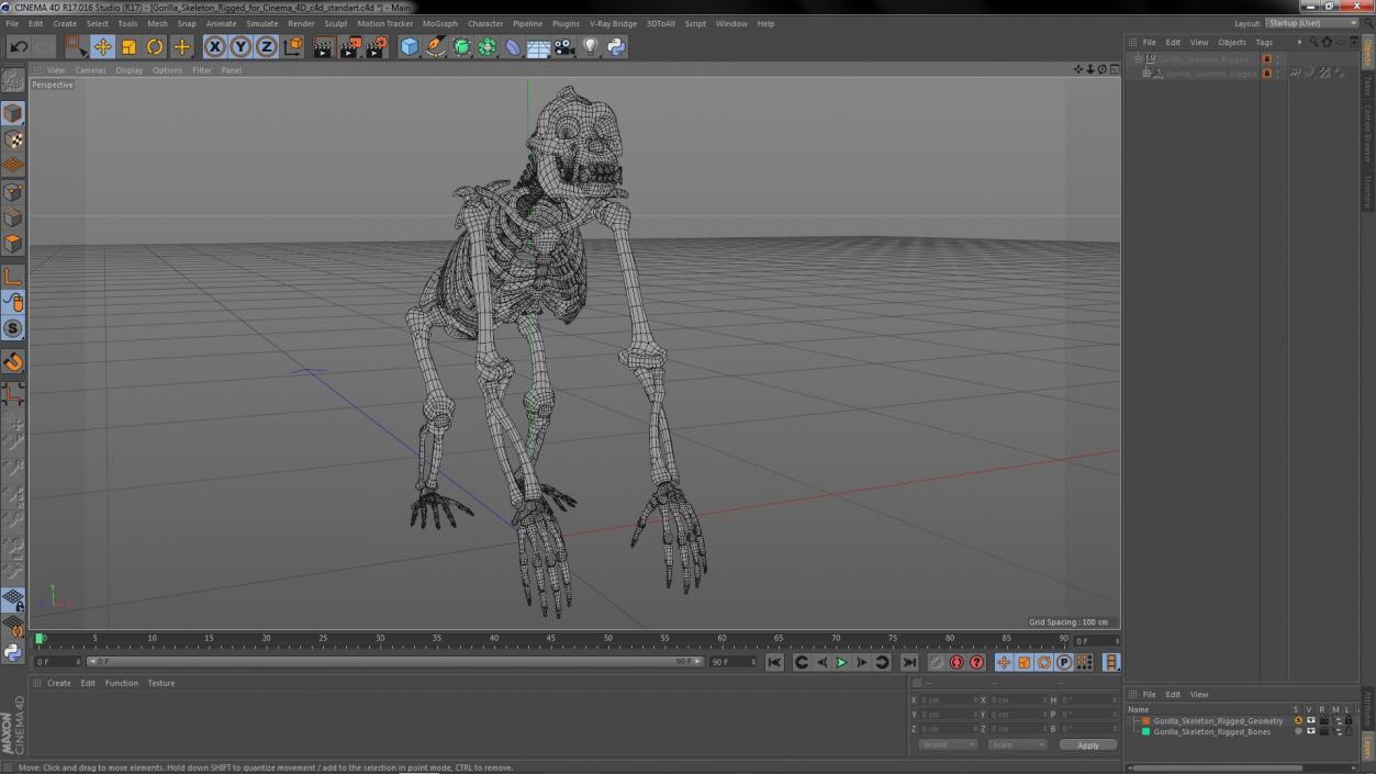 Gorilla Skeleton Rigged for Cinema 4D 3D