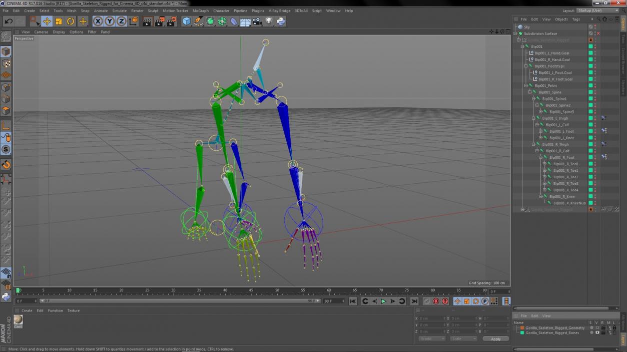 Gorilla Skeleton Rigged for Cinema 4D 3D