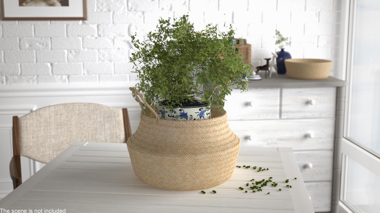 Wicker Baskets Collection 3 3D