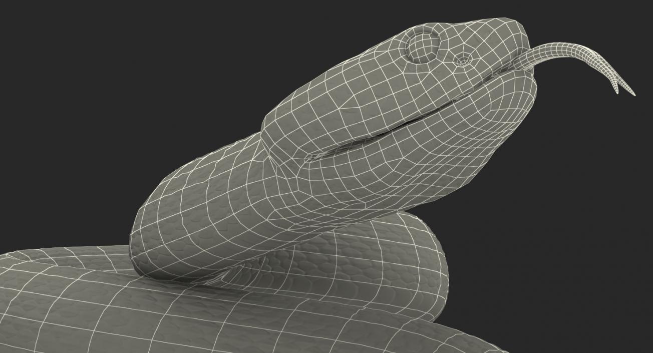 Light Rattlesnake 3D