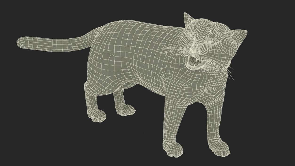 Pallas Cat Rigged 3D