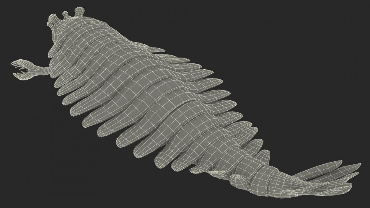 3D Green Opabinia Swimming model