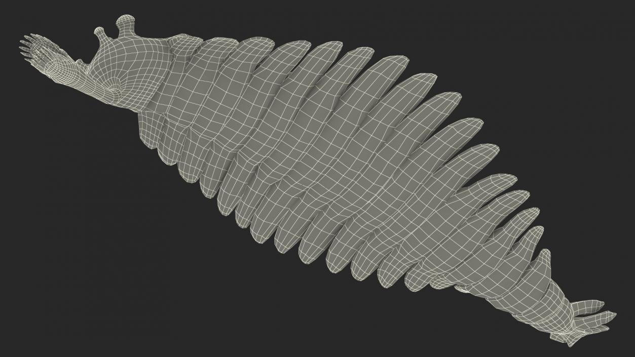 3D Green Opabinia Swimming model