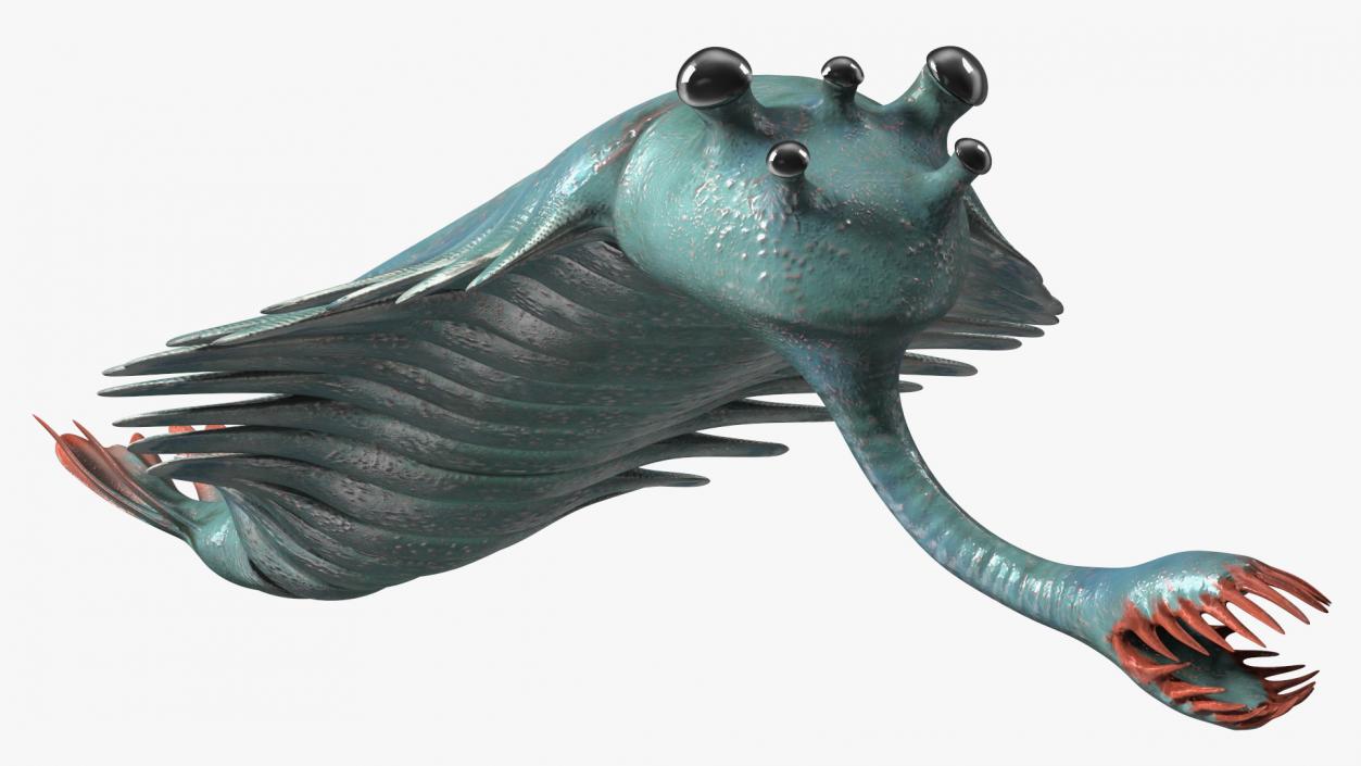 3D Green Opabinia Swimming model