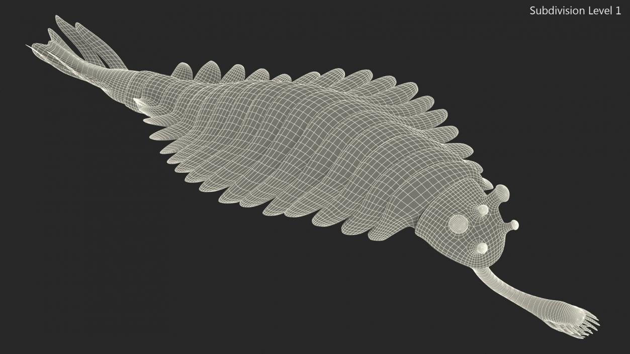 3D Green Opabinia Swimming model