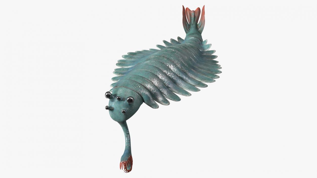 3D Green Opabinia Swimming model