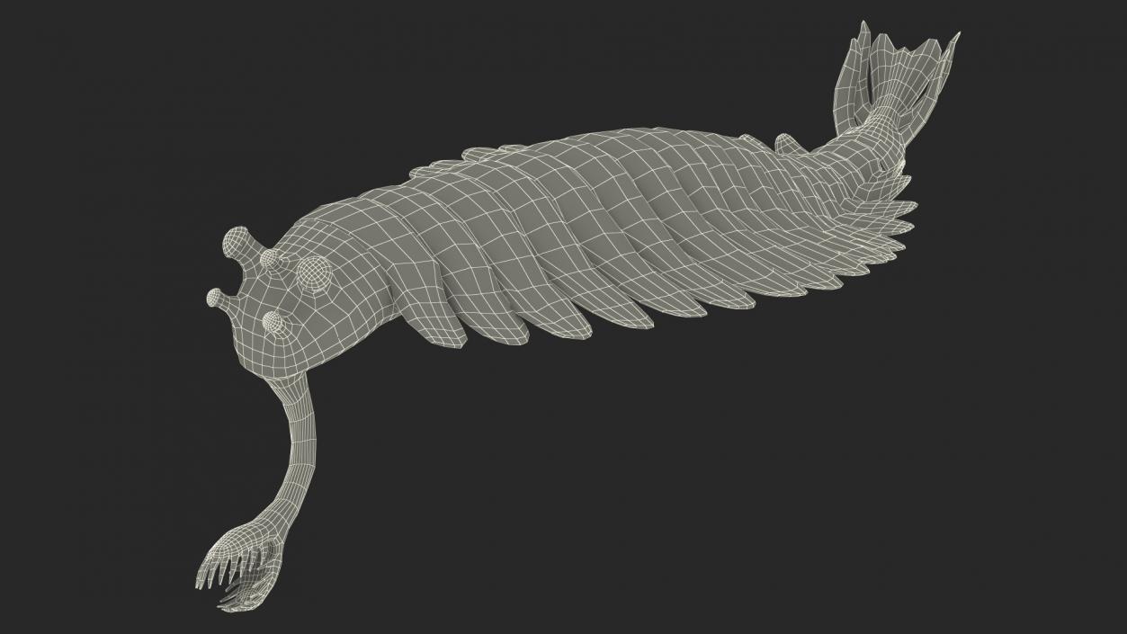 3D Green Opabinia Swimming model