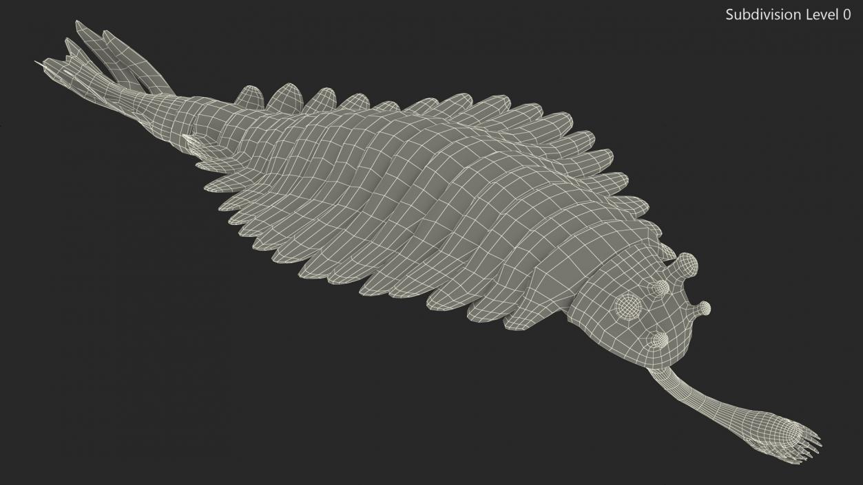 3D Green Opabinia Swimming model