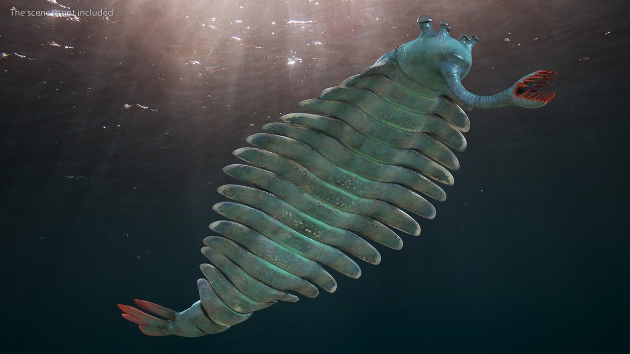 3D Green Opabinia Swimming model