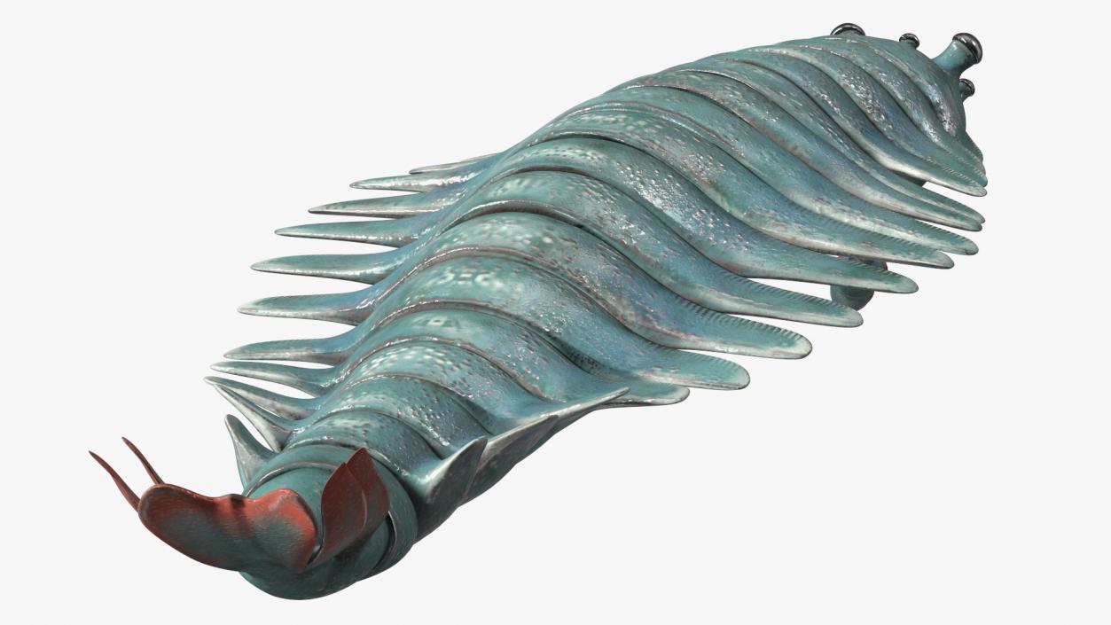 3D Green Opabinia Swimming model