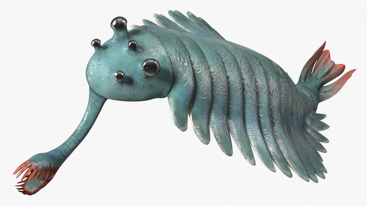 3D Green Opabinia Swimming model