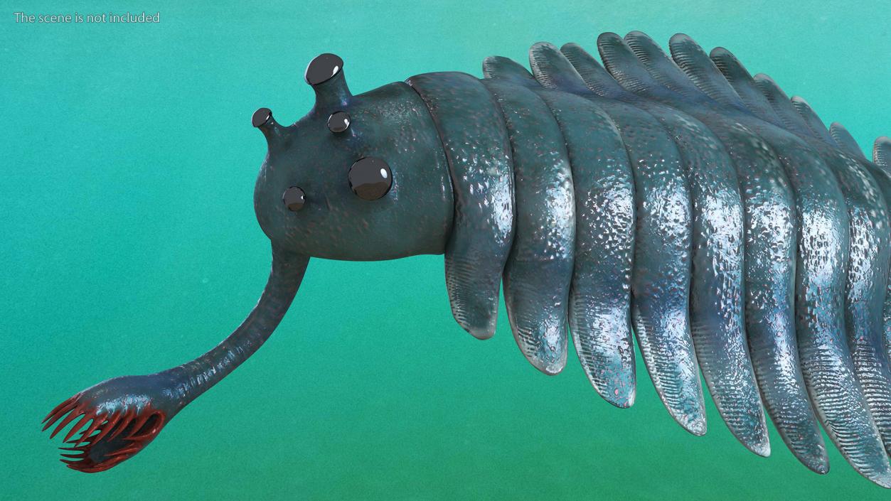 3D Green Opabinia Swimming model