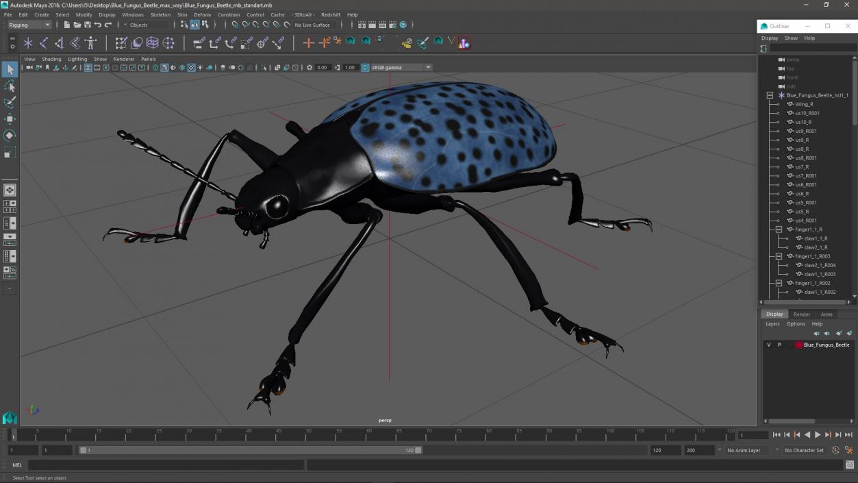 3D Blue Fungus Beetle model