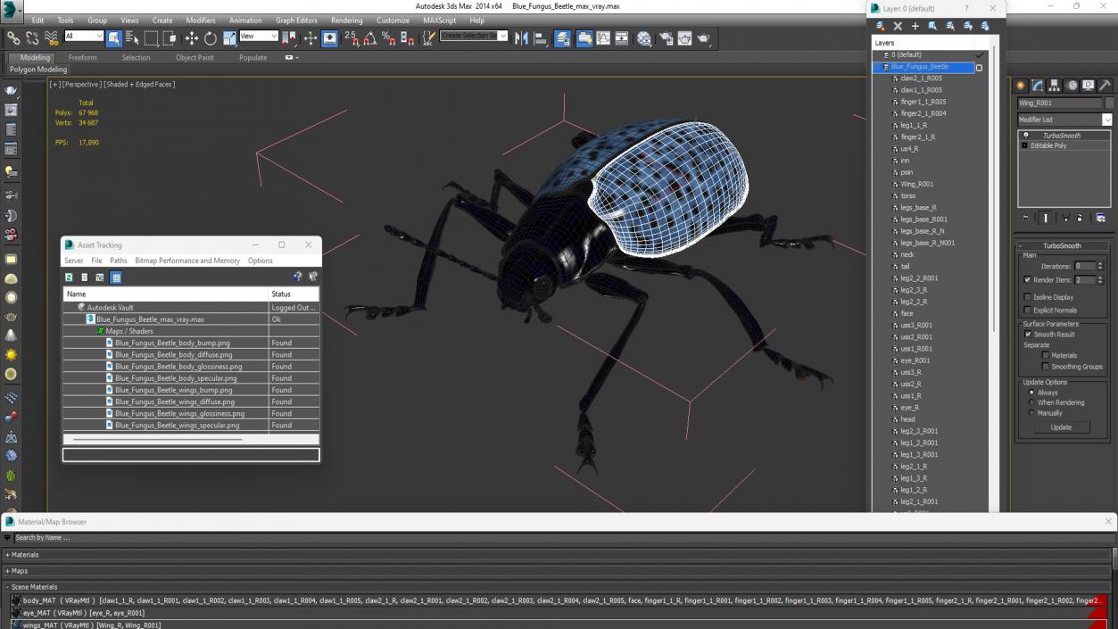 3D Blue Fungus Beetle model