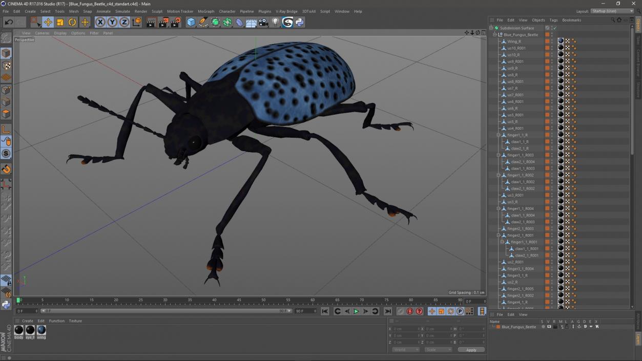 3D Blue Fungus Beetle model