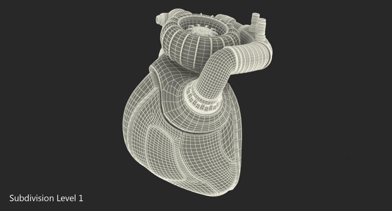 3D Robotic Heart model