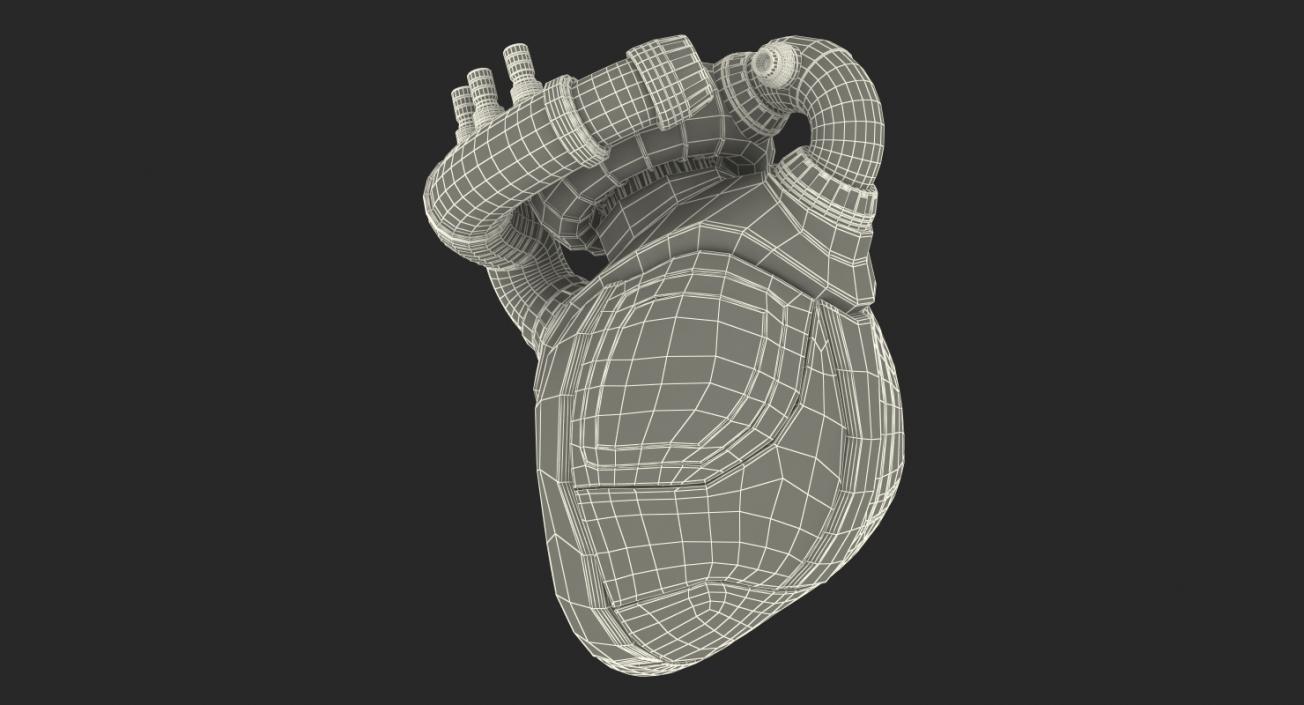 3D Robotic Heart model