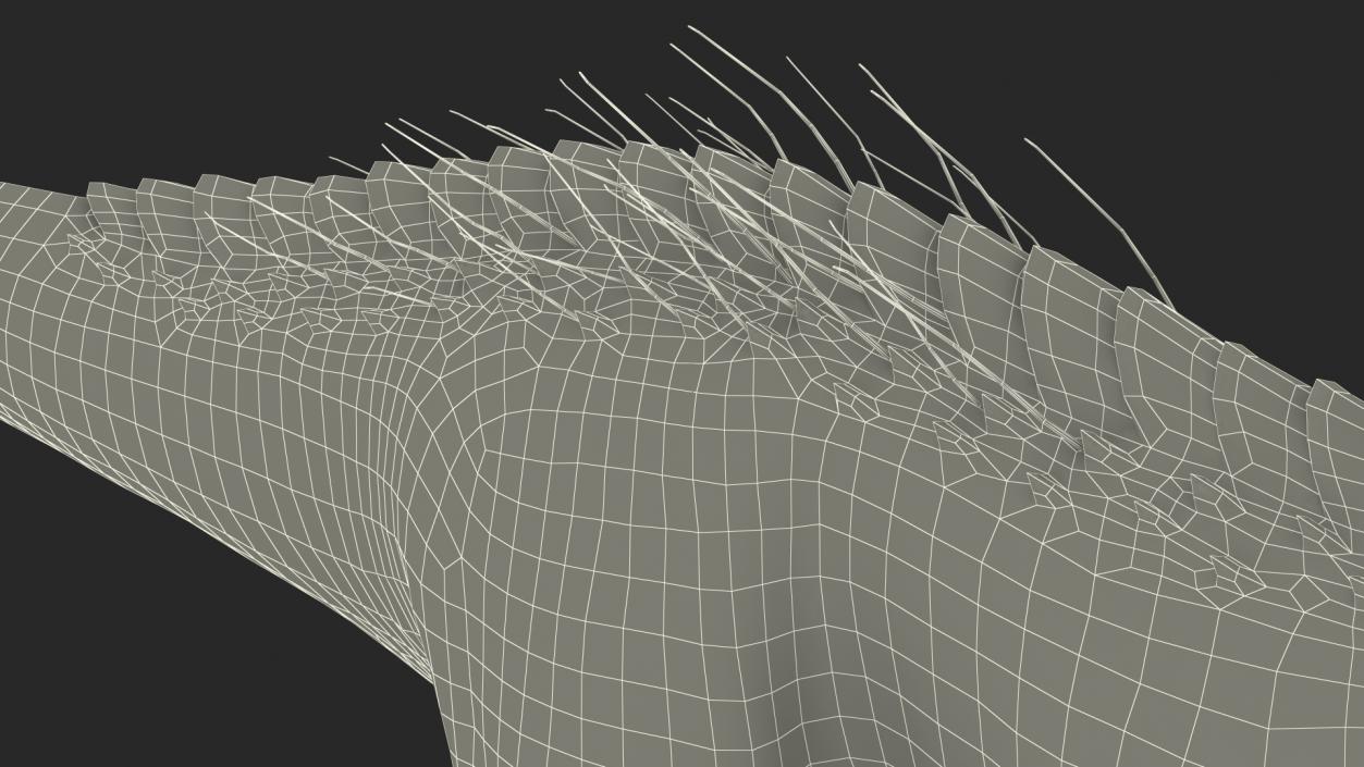 3D Indoraptor Rigged for Cinema 4D