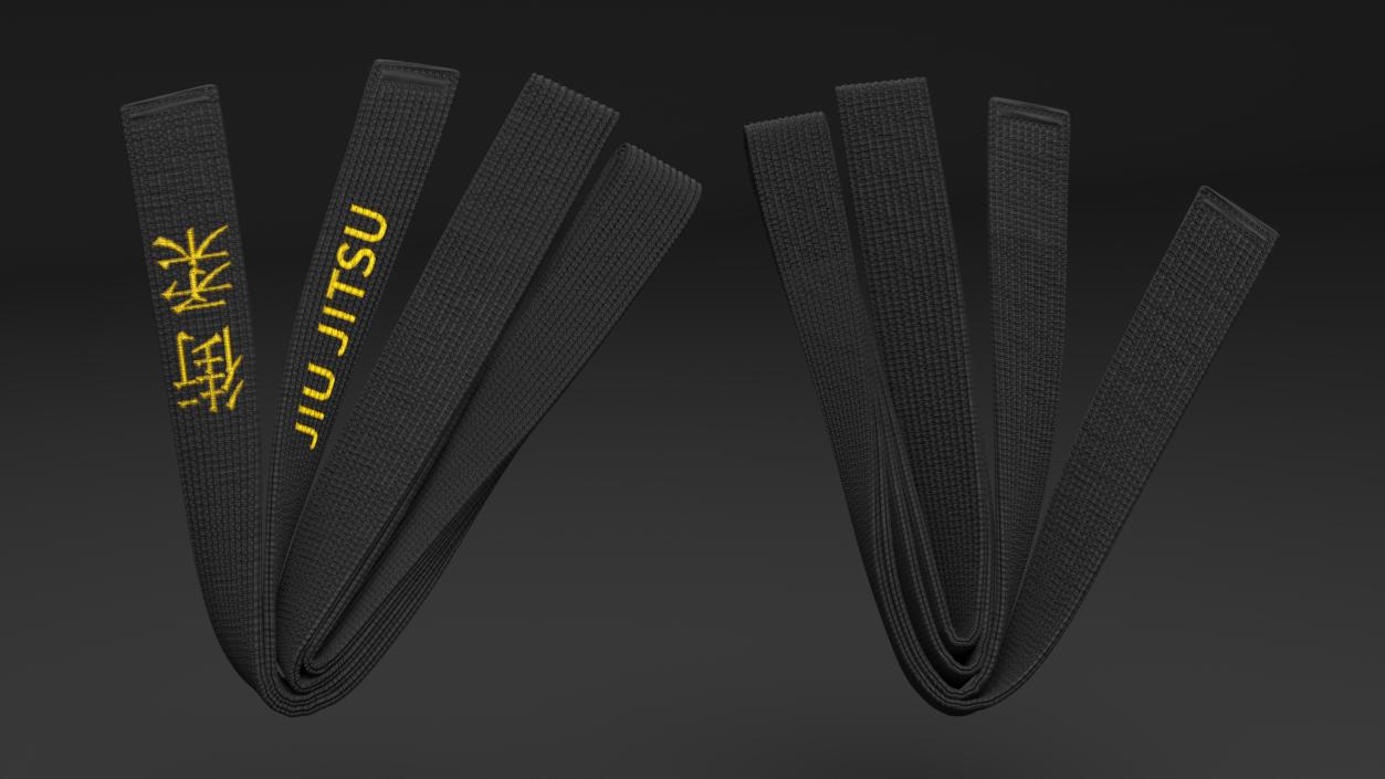 Jiu Jitsu Black Obi Belt 3D model