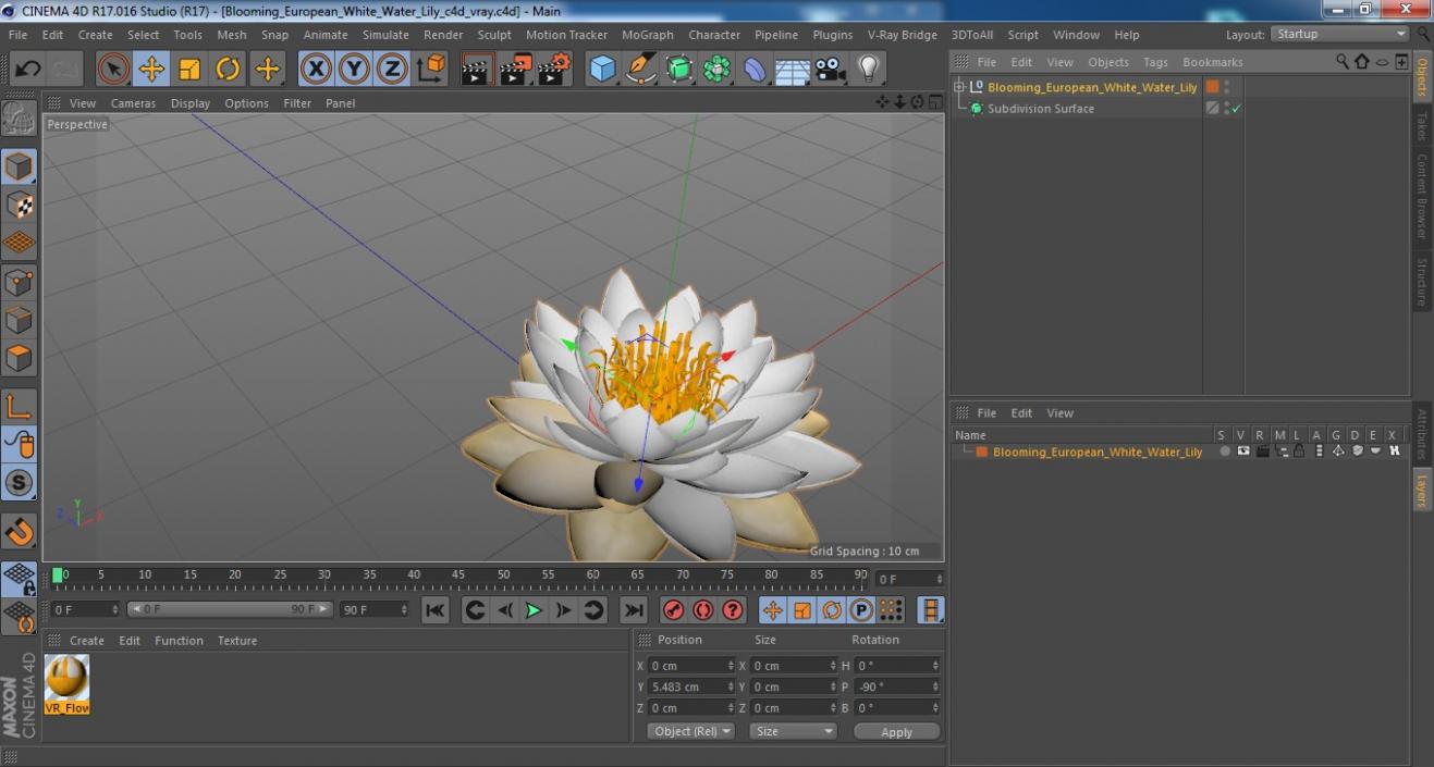 Blooming European White Water Lily 3D model