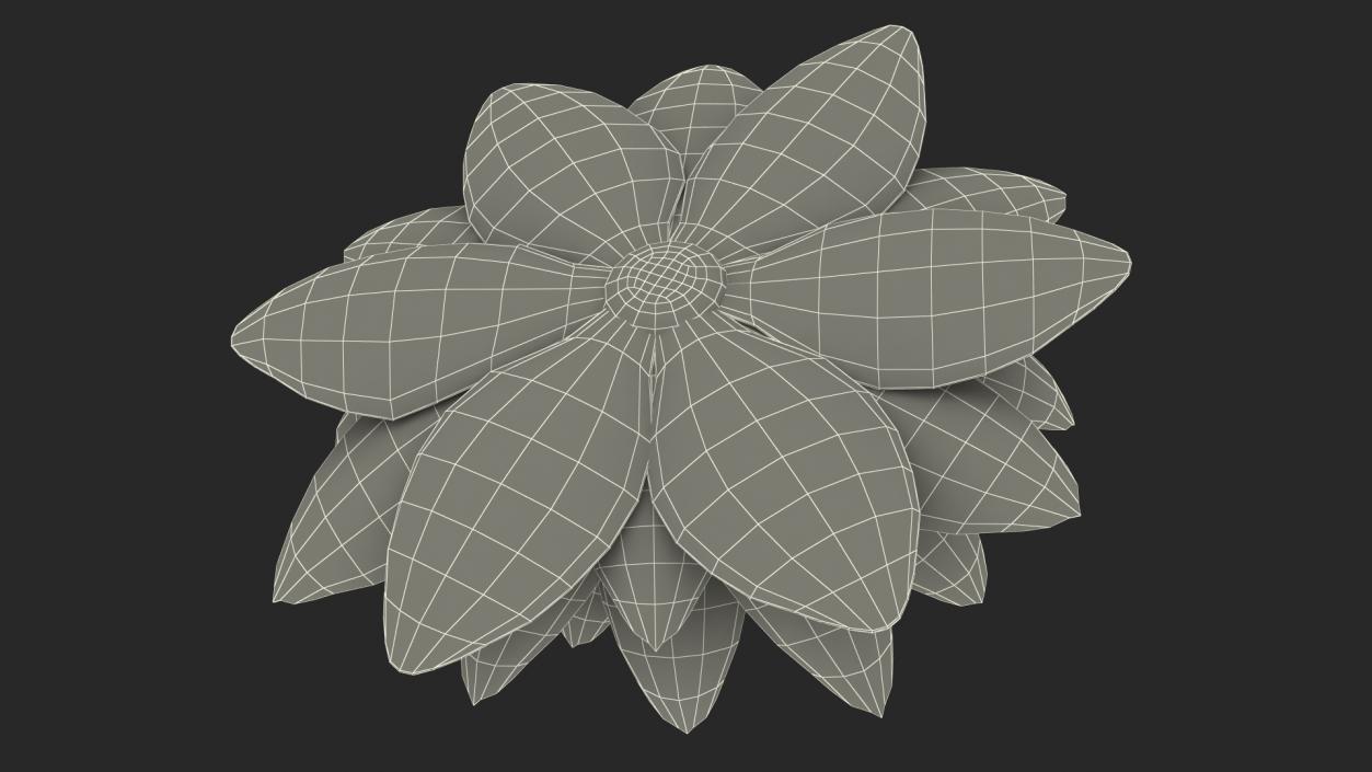 Blooming European White Water Lily 3D model